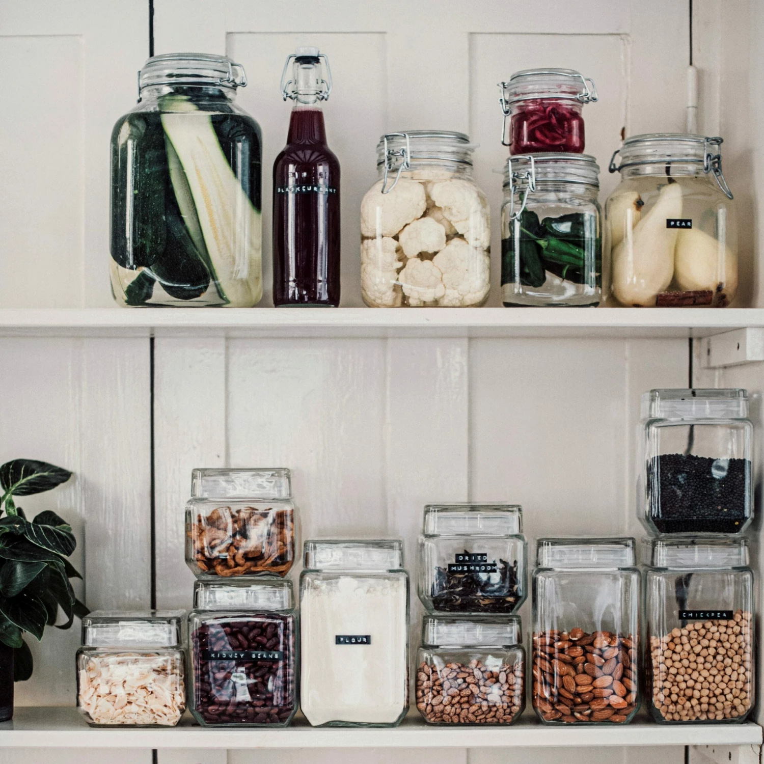 Glasdose 4L 7 Glasdose 4L – Bild 5