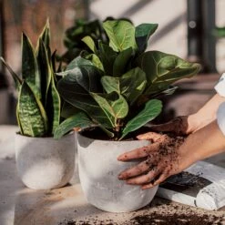 Blumentopf Beton Rund Ø15cm -GRANIT Verkäufe 302143 25172