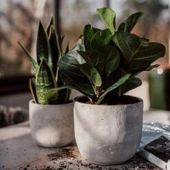 Blumentopf Beton Rund Ø19cm -GRANIT Verkäufe 302145 25173 1