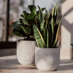 Blumentopf Beton Rund Ø19cm -GRANIT Verkäufe 302145 25174 1