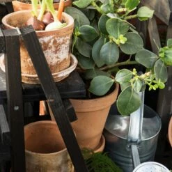 Blumentopf Terrakotta Ø18cm -GRANIT Verkäufe 371269 12844