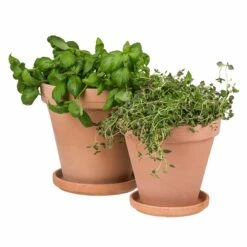 Blumentopf Terrakotta Ø18cm -GRANIT Verkäufe 371269 5189
