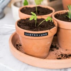 Klebeband Dymo 3er-Pack -GRANIT Verkäufe 371533 13002