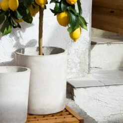 Blumentopf Beton Zylinder Ø18cm -GRANIT Verkäufe 371961 12950 1