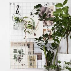 Klemme Einfach 5er-Pack Schwarz -GRANIT Verkäufe 372448 12841