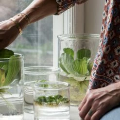 Vase Glas Ø10cm -GRANIT Verkäufe 373207 13946