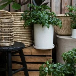 Blumentopf/Teller Polystone Groß Weiß -GRANIT Verkäufe 373543 14823