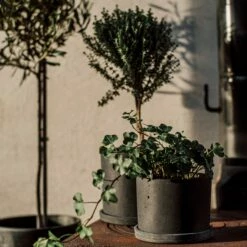 Blumentopf/Teller Polystone Klein Schwarz -GRANIT Verkäufe 373916 34162