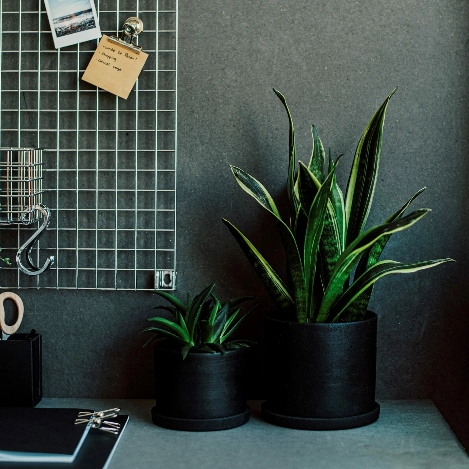 Blumentopf/Teller Polystone Mittel Schwarz 6 Blumentopf/Teller Polystone Mittel Schwarz – Bild 4