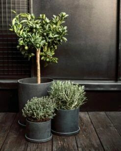 Blumentopf/Teller Polystone Groß Schwarz -GRANIT Verkäufe 373918 38950