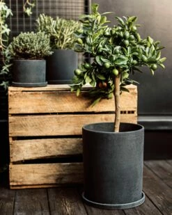 Blumentopf/Teller Polystone Groß Schwarz -GRANIT Verkäufe 373918 38951