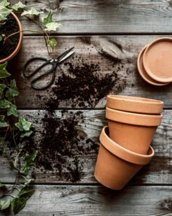 Teller Terrakotta Ø11cm 7 Teller Terrakotta Ø11cm -GRANIT Verkäufe 374450 38946