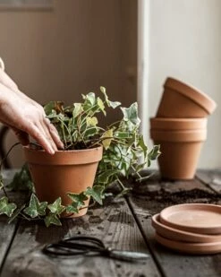 Blumentopf Terrakotta Ø 13,5 Cm -GRANIT Verkäufe 374451 38947