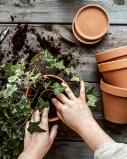 Blumentopf Terrakotta Ø 13,5 Cm -GRANIT Verkäufe 374451 38948