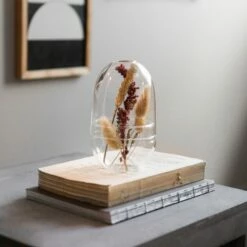 Pflanzenkuppel Glas Klein -GRANIT Verkäufe 375457 21323