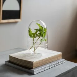 Pflanzenkuppel Glas Klein -GRANIT Verkäufe 375457 21326