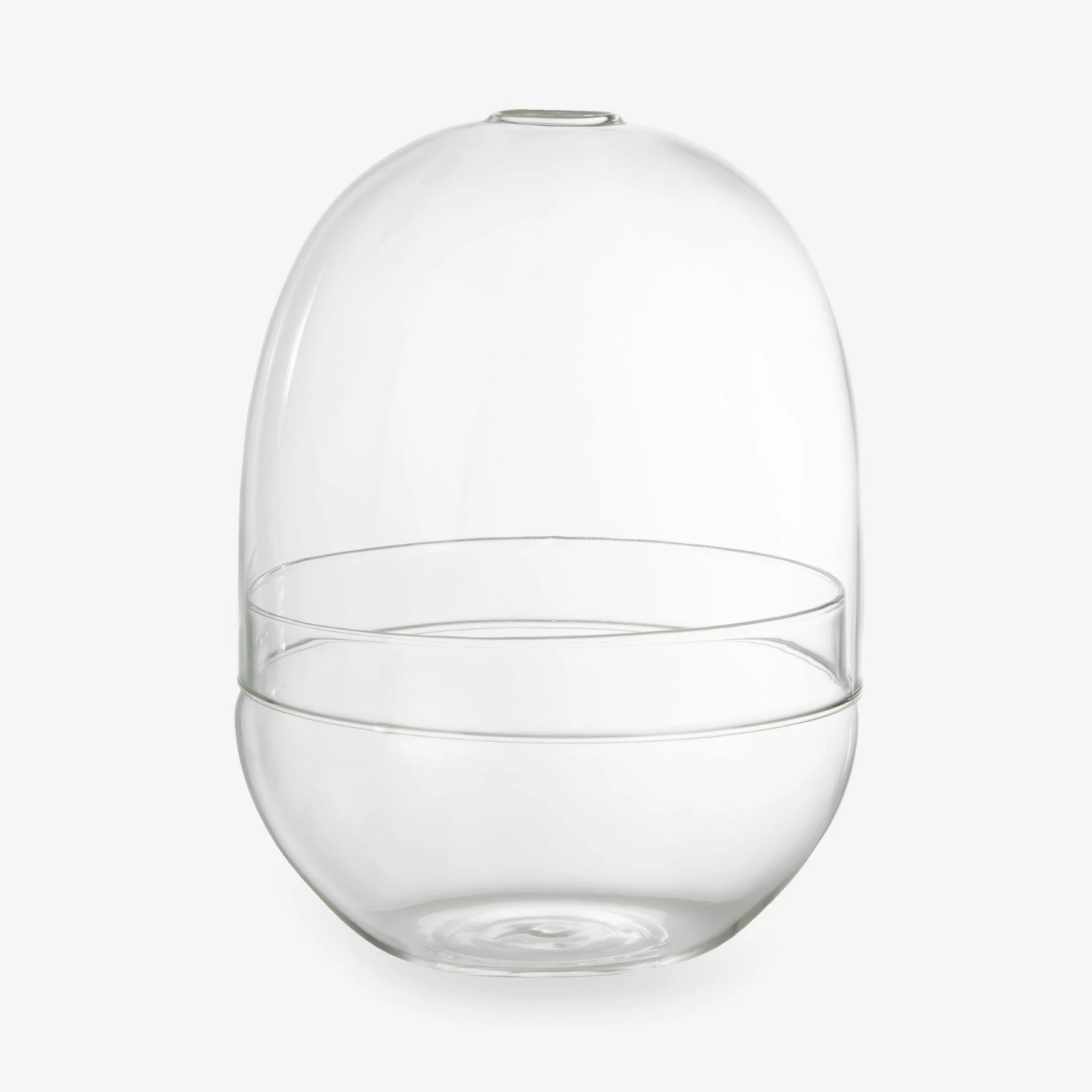 Pflanzenkuppel Glas Groß 7 Pflanzenkuppel Glas Groß – Bild 5