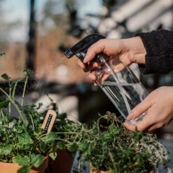 Sprühflasche Glas -GRANIT Verkäufe 375610 25218
