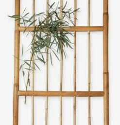 Spalier Rattan 10 Spalier Rattan -GRANIT Verkäufe 375691 19173 3