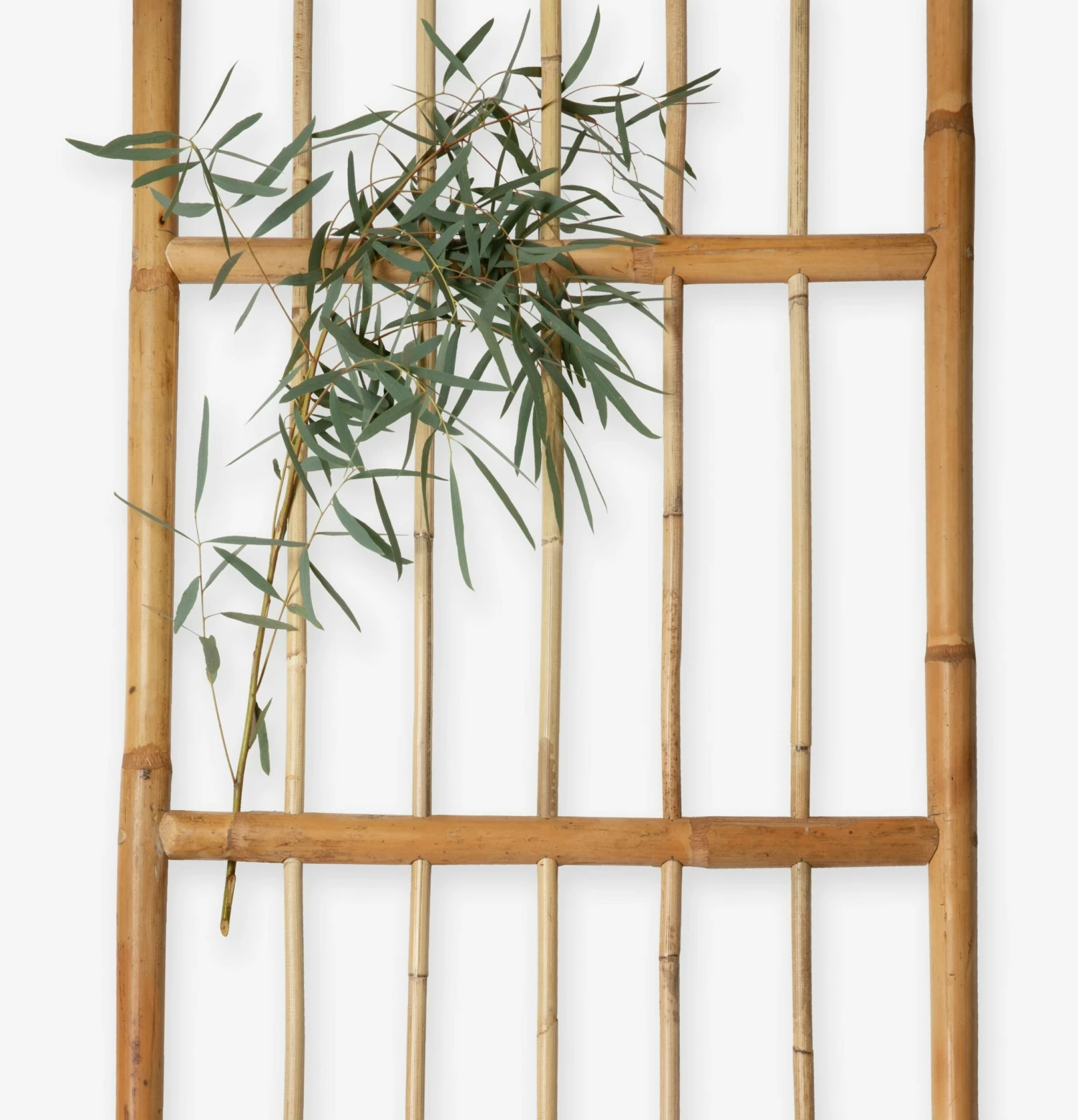 Spalier Rattan 5 Spalier Rattan – Bild 3