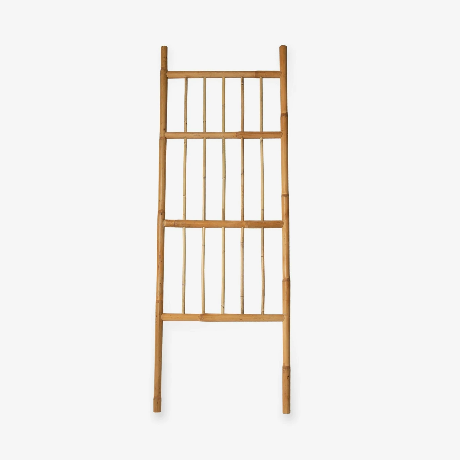 Spalier Rattan 4 Spalier Rattan – Bild 2