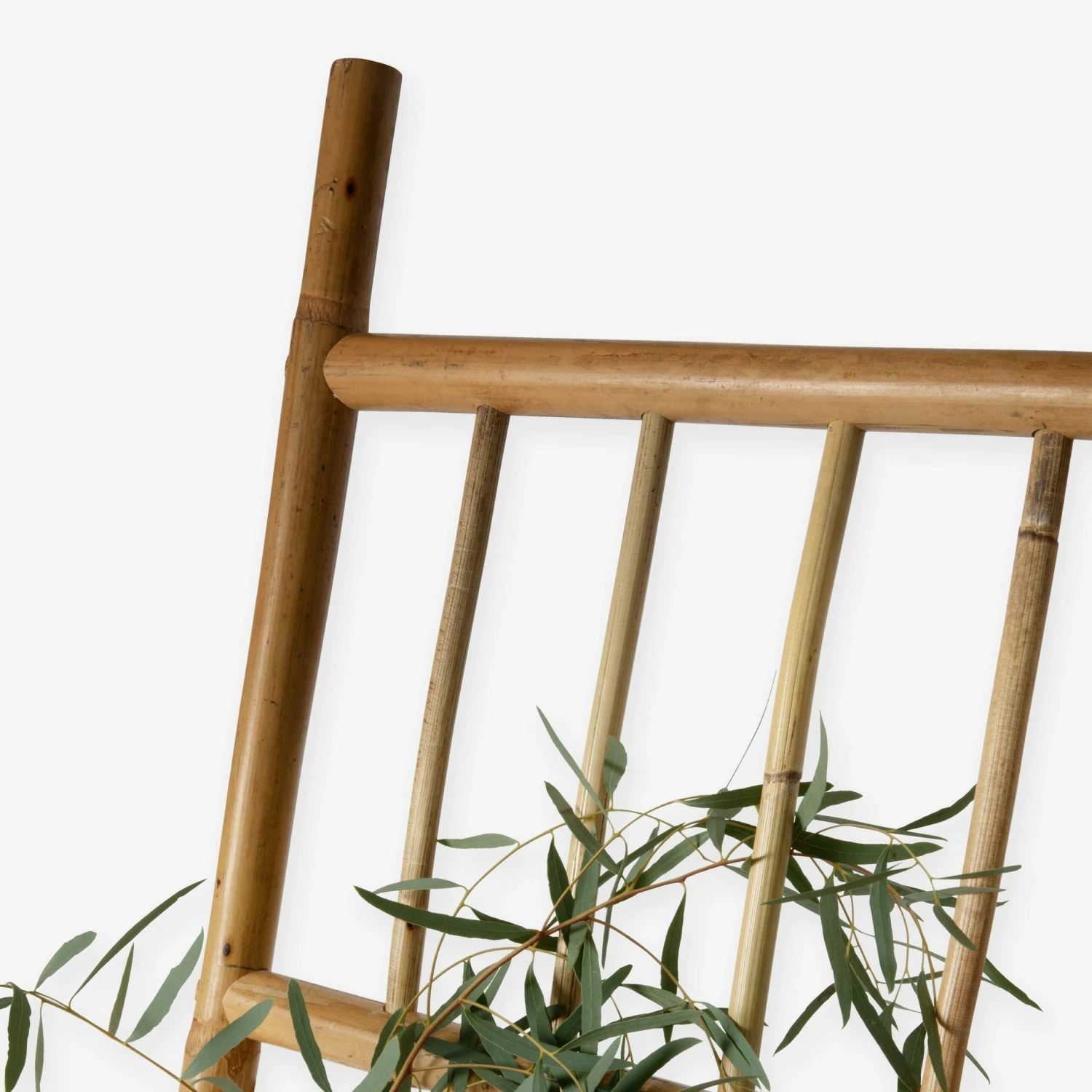 Spalier Rattan 7 Spalier Rattan – Bild 5