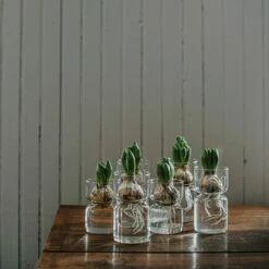 Hyazinthenvase Glatt Klarglas Groß 9 Hyazinthenvase Glatt Klarglas Groß -GRANIT Verkäufe 376213 30320 1