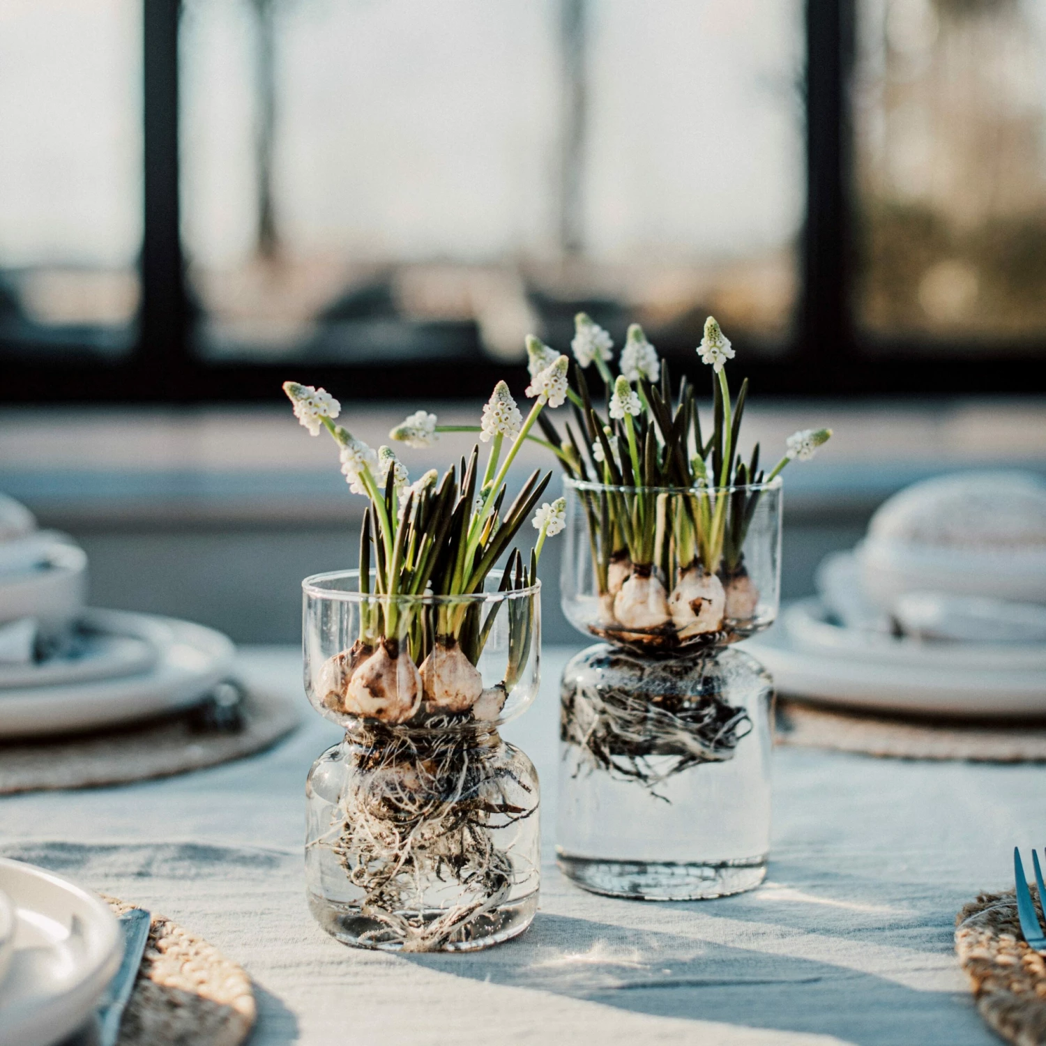 Hyazinthenvase Glatt Klarglas Groß 6 Hyazinthenvase Glatt Klarglas Groß – Bild 4