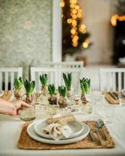 Hyazinthenvase Glatt Klarglas Klein 12 Hyazinthenvase Glatt Klarglas Klein -GRANIT Verkäufe 376214 36916