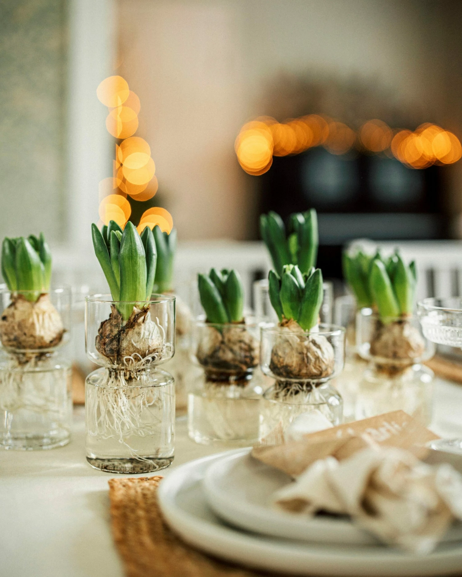 Hyazinthenvase Glatt Klarglas Klein 8 Hyazinthenvase Glatt Klarglas Klein – Bild 6