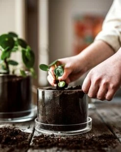 Blumentopf/Untersetzer Glaszylinder Klein -GRANIT Verkäufe 376352 38952