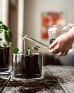 Blumentopf/Untersetzer Glaszylinder Klein -GRANIT Verkäufe 376352 38953