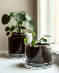 Blumentopf/Untersetzer Glaszylinder Groß -GRANIT Verkäufe 376353 38954