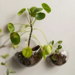 Vase Wand Klein -GRANIT Verkäufe 376360 23970