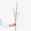 Artificial Branch Willow 85 Cm 2 Artificial Branch Willow 85 Cm -GRANIT Verkäufe 400718 33901