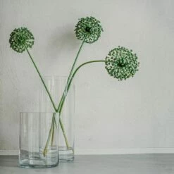 Vase Glas Zylinder H 20 Cm Ø 15 Cm -GRANIT Verkäufe 400752 29505