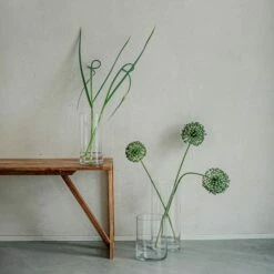 Vase Glas Zylinder H 25 Cm Ø 12 Cm 9 Vase Glas Zylinder H 25 Cm Ø 12 Cm -GRANIT Verkäufe 400754 29507