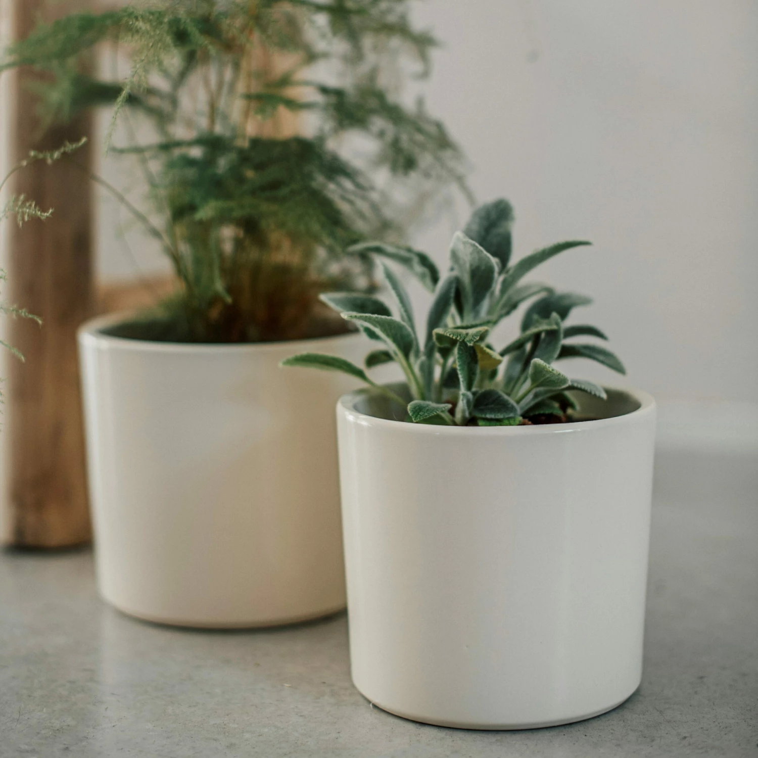 Blumentopf Glasiert 13 Cm Creme 5 Blumentopf Glasiert 13 Cm Creme – Bild 3