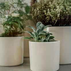 Blumentopf Glasiert 13 Cm Creme 13 Blumentopf Glasiert 13 Cm Creme -GRANIT Verkäufe 400888 28335