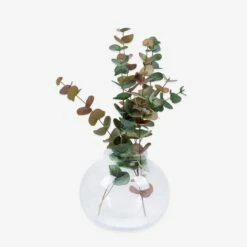 Tulpenvase Blase Ø 27 Cm H 22 Cm Klarglas -GRANIT Verkäufe 400904 28940