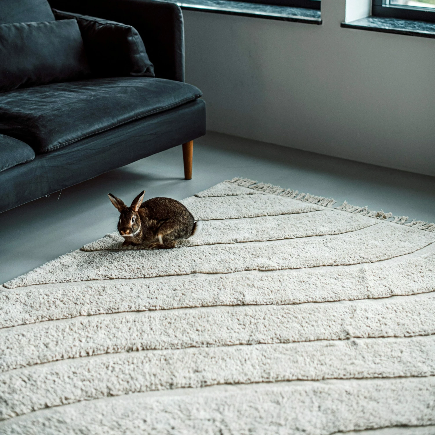 Teppich Big Flow 200 X 300 Cm Cremeweiß 8 Teppich Big Flow 200 X 300 Cm Cremeweiß – Bild 6