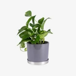 Topfuntersetzer Edelstahl Ø 15 Cm -GRANIT Verkäufe 401214 29427