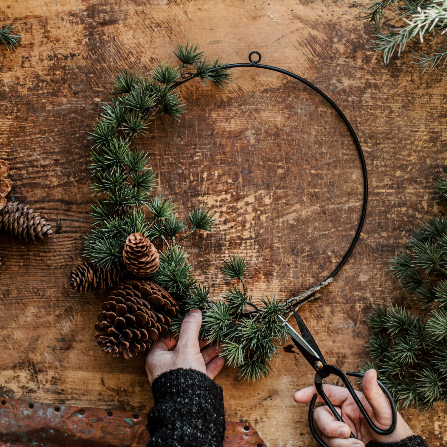 Zapfen Dekoration 6 Zapfen Dekoration – Bild 4