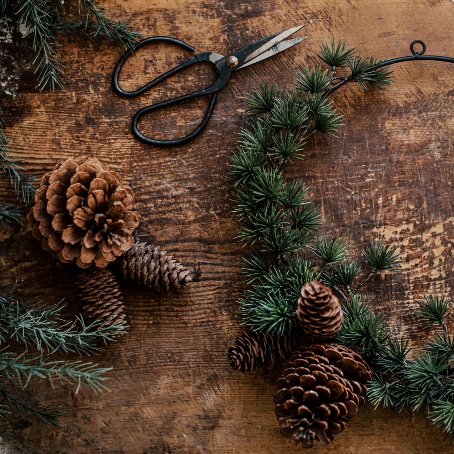 Zapfen Dekoration 7 Zapfen Dekoration – Bild 5