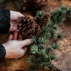 Zapfen Dekoration 13 Zapfen Dekoration -GRANIT Verkäufe 401303 30497