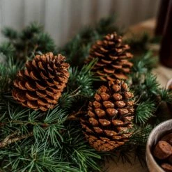 Zapfen Dekoration Groß -GRANIT Verkäufe 401322 30310