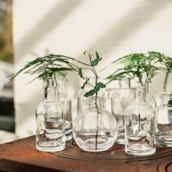 Vase Ableger H 10 Cm -GRANIT Verkäufe 401476 33622