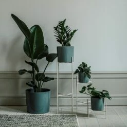 Pot Glazed 15cm Eucalyptus 10 Pot Glazed 15cm Eucalyptus -GRANIT Verkäufe 401485 31637