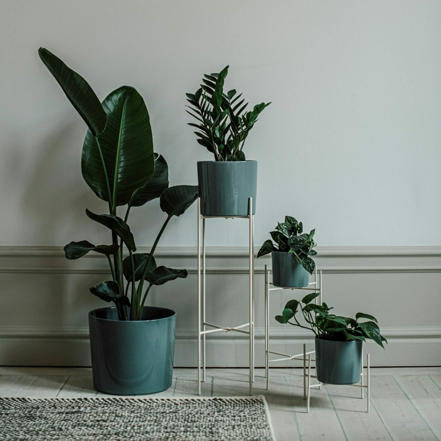 Pot Glazed 15cm Eucalyptus 6 Pot Glazed 15cm Eucalyptus – Bild 4