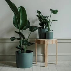 Pot Glazed 15cm Eucalyptus 9 Pot Glazed 15cm Eucalyptus -GRANIT Verkäufe 401485 31638